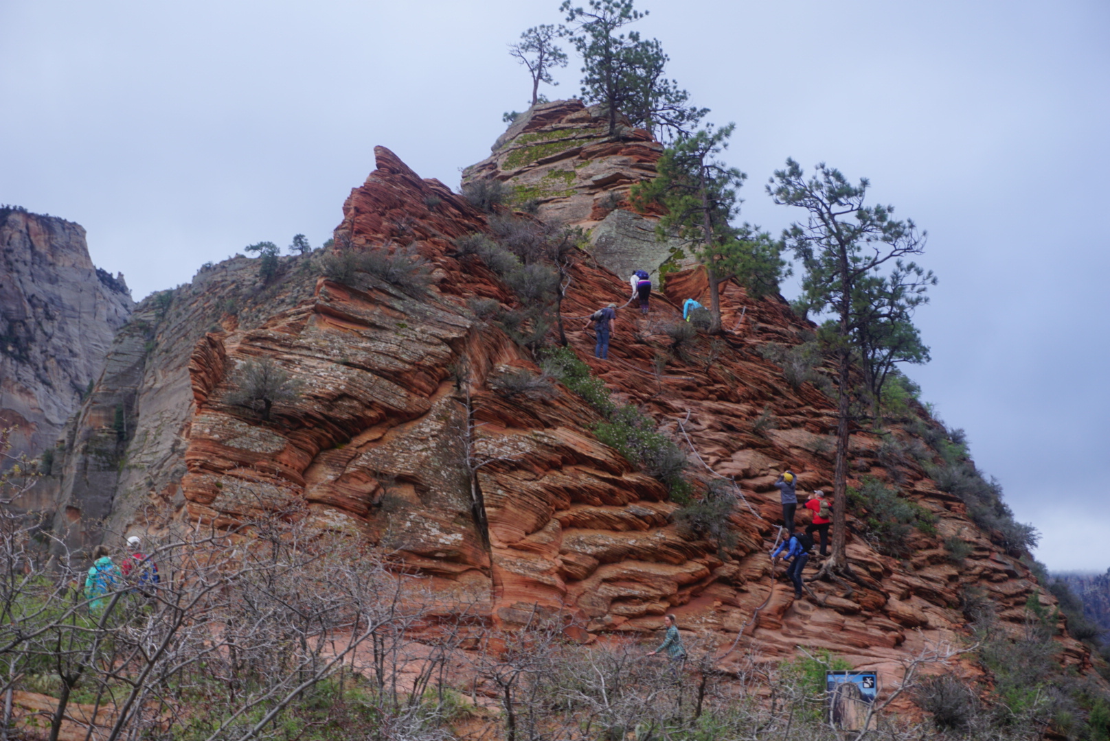 Angel's Landing: Conquering This Bucket List Hike - The Wayfaring Redhead